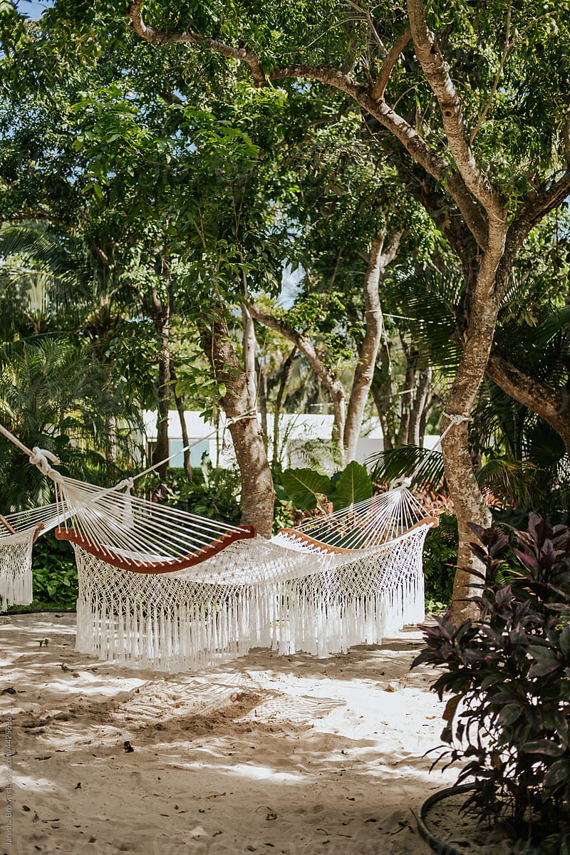 White hammock strung between tropical trees.