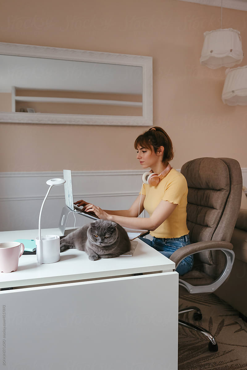 Female freelancer using laptop near cat