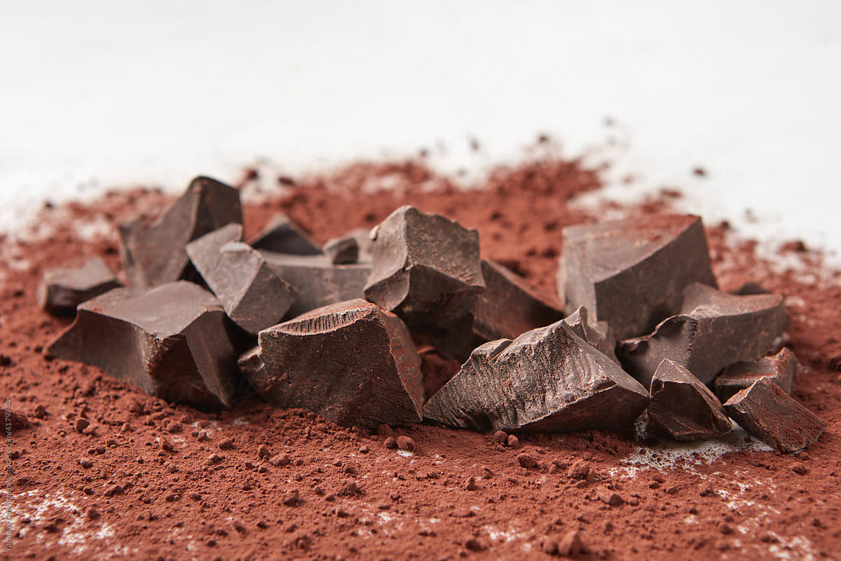Pieces of chocolate lying in cocoa powder