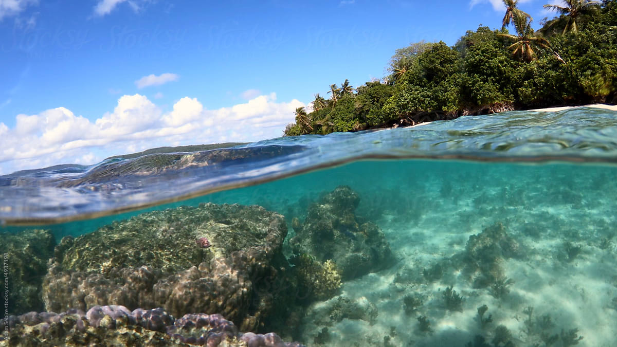 Pacific Ocean coral reef - sea level split-shot over-under waterline