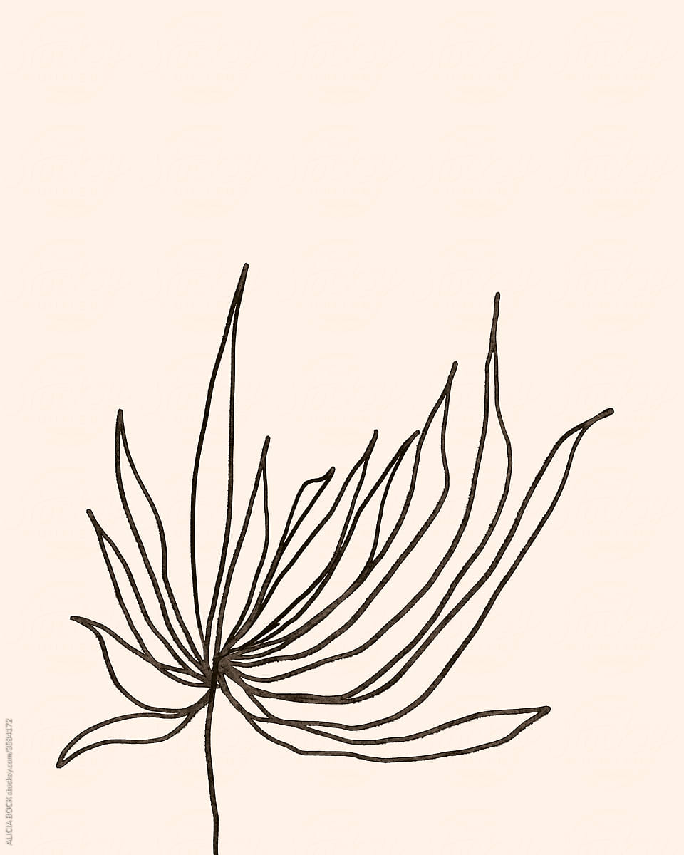 A Minimal Flower Blossom Drawing In Black