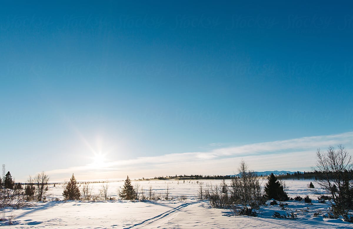White Winter in Scandinavia - Low Winter Sun Shining on Snow-Cov