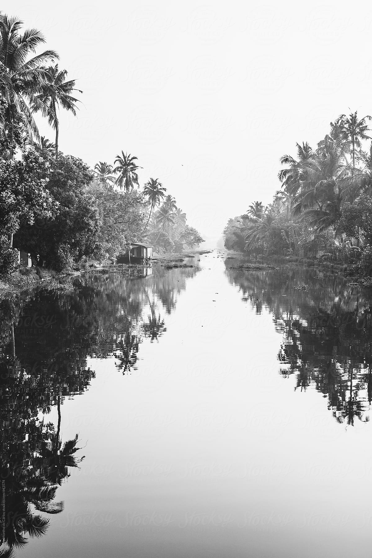 River and jungle with reflection of palm trees on the water in black and white. Kerala, India