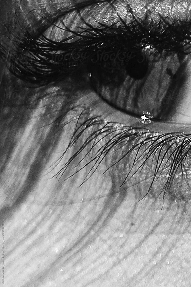 Detail - Close Up Of A Human Eye. Monochrome photo