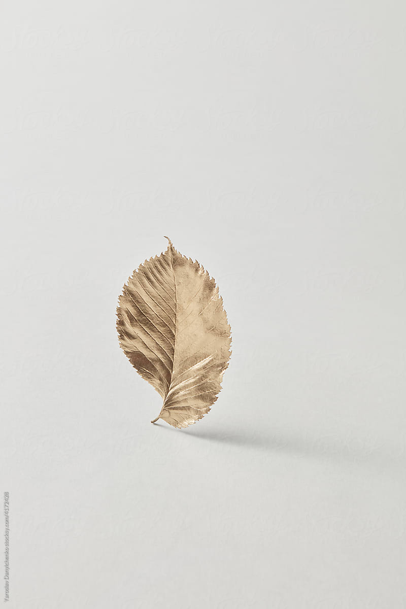 Painted leaf over white background