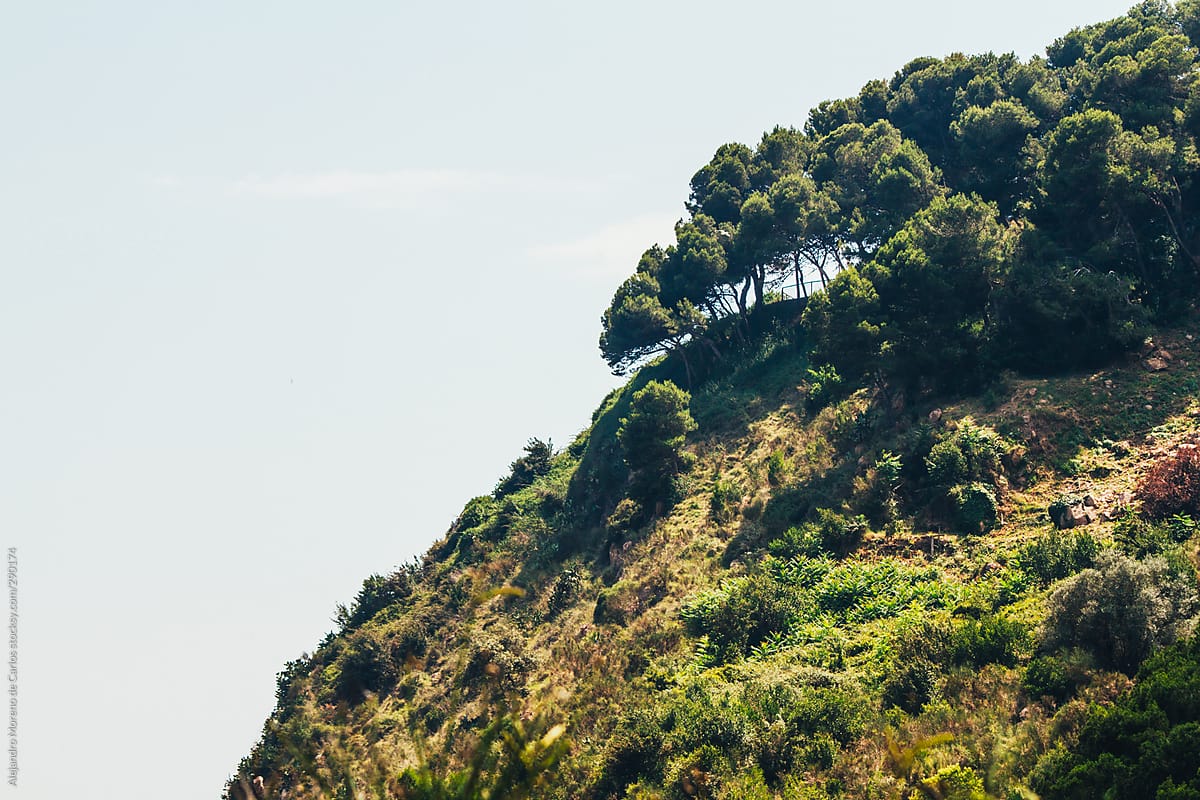 Hill with trees and sky next to the coast