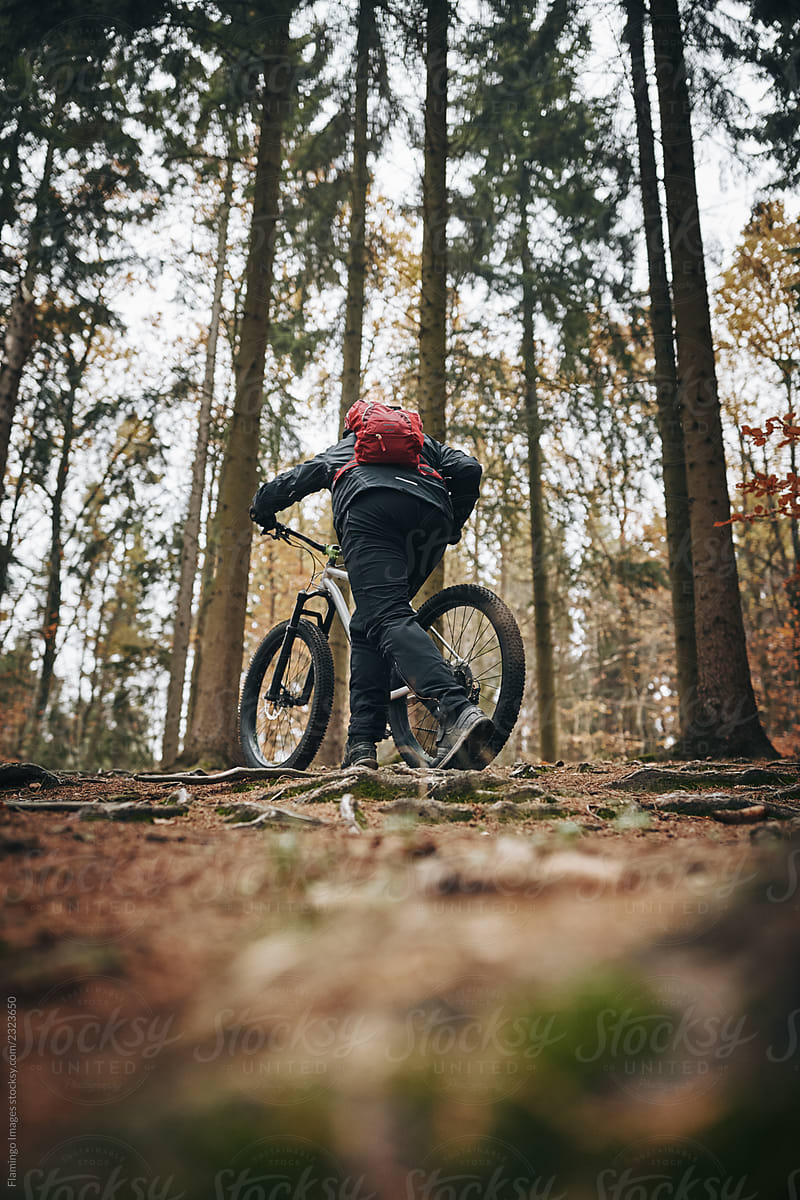 Mountain biker pushing his bike up a rugged forest trail