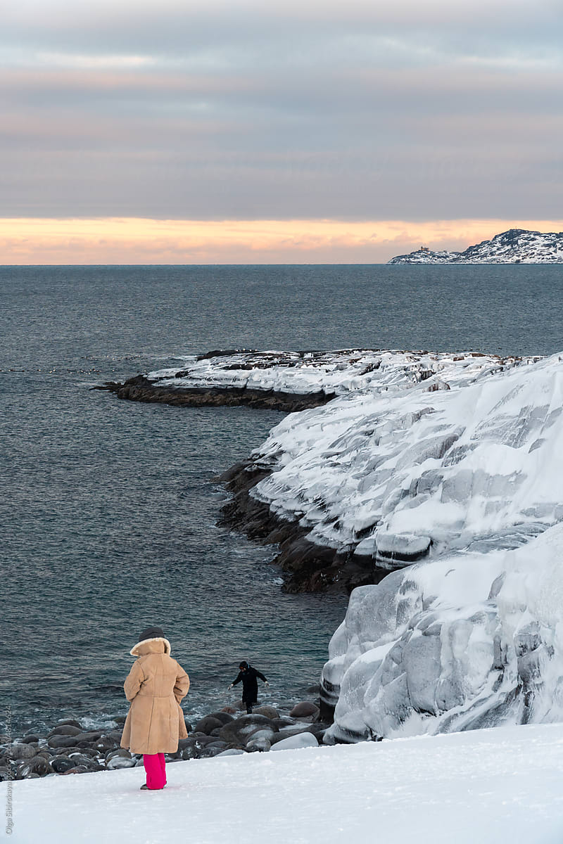 Travellers on arctic ocean shore