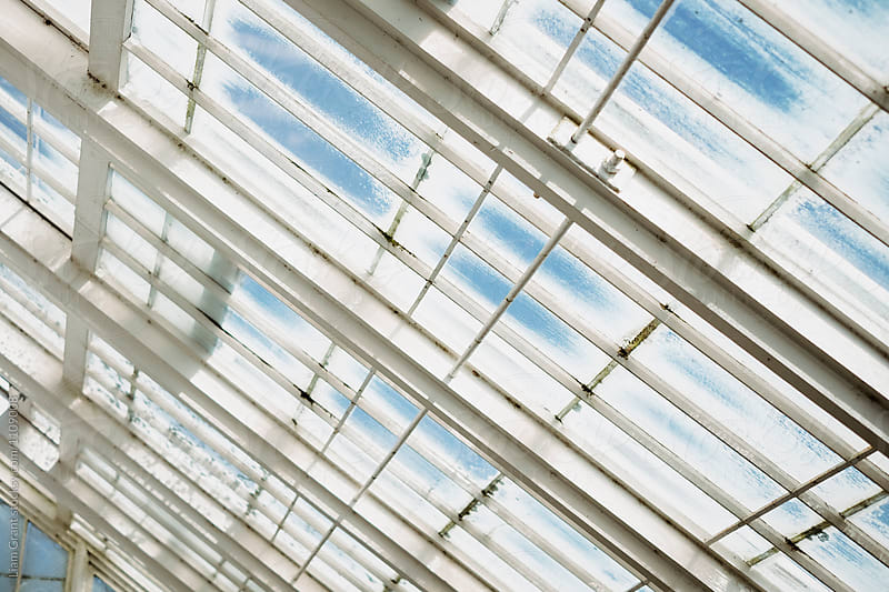 Glass windows in a traditional white wooden greenhouse.