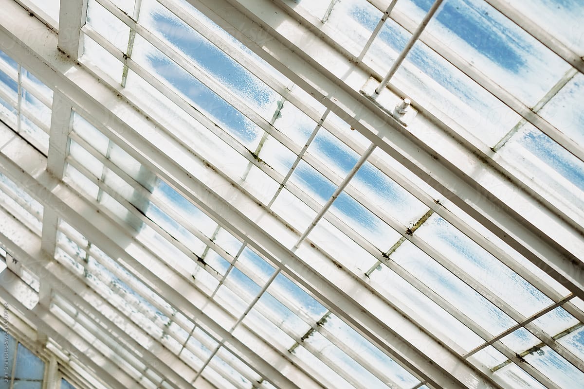 Glass windows in a traditional white wooden greenhouse.