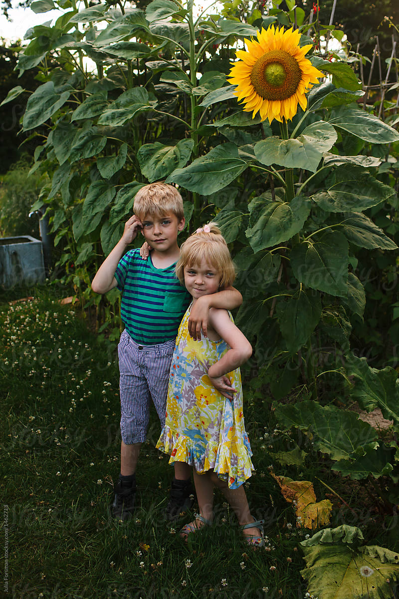 Sunflower and siblings.