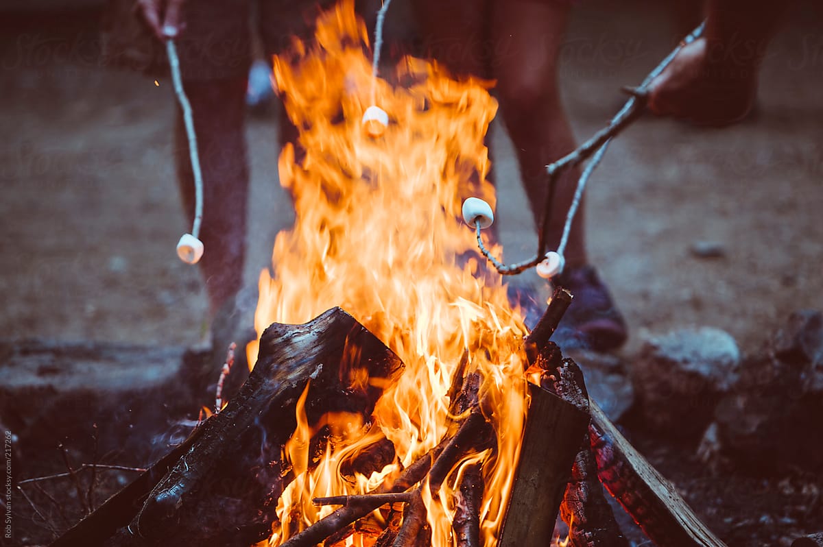 Roasting Marshmallows Over a Camp Fire at Summer Camp