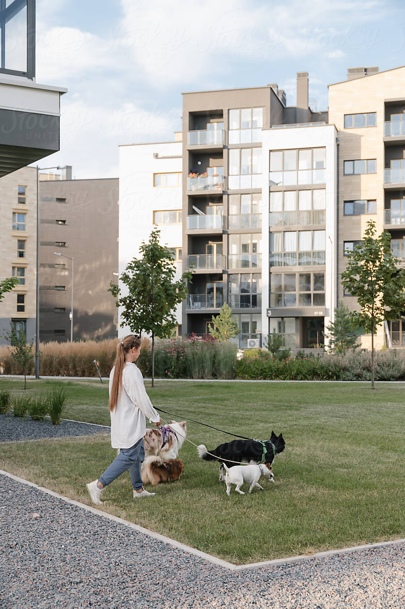 Woman with dogs walking on lawn near building