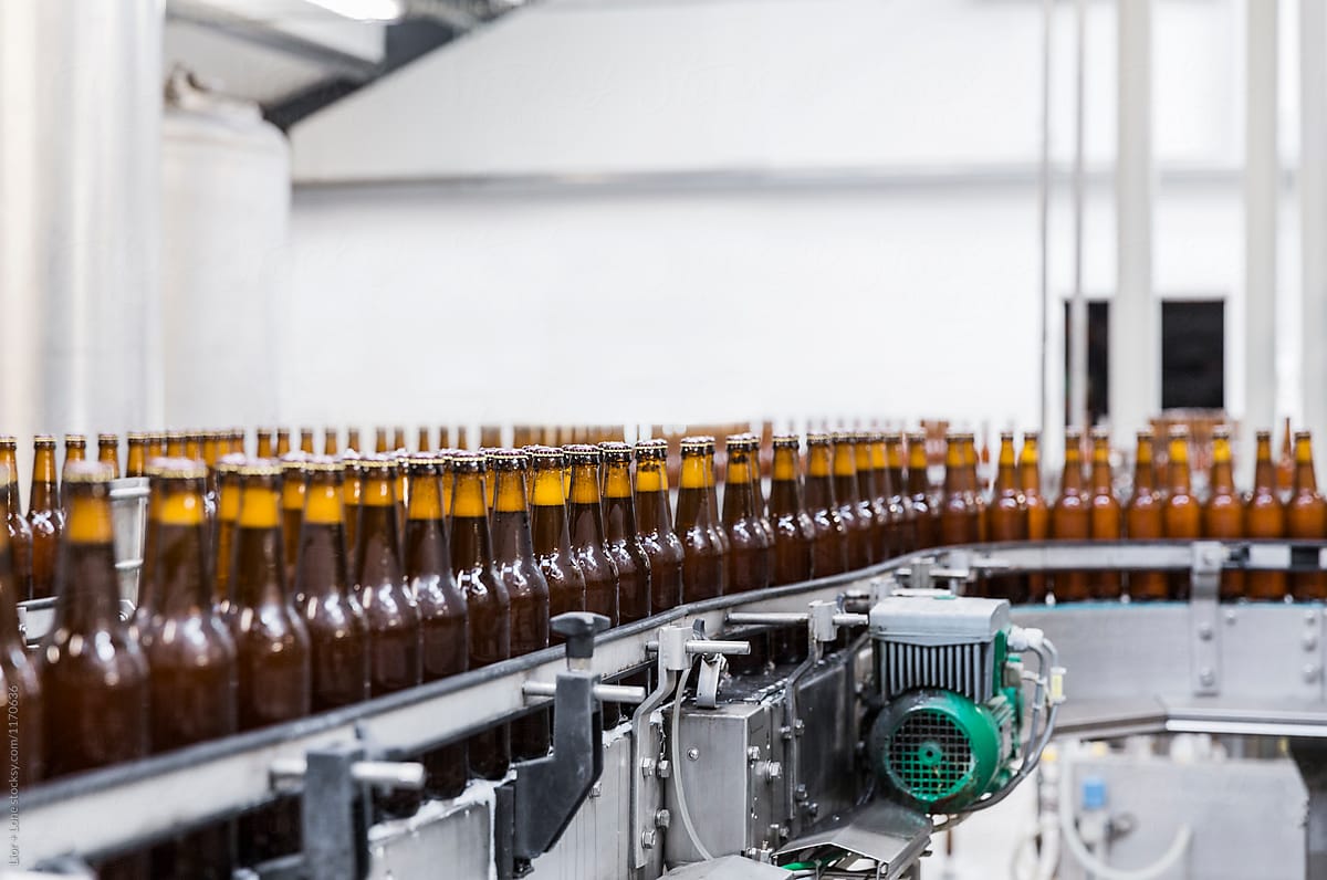 Beer bottles on an automatic factory assembly line