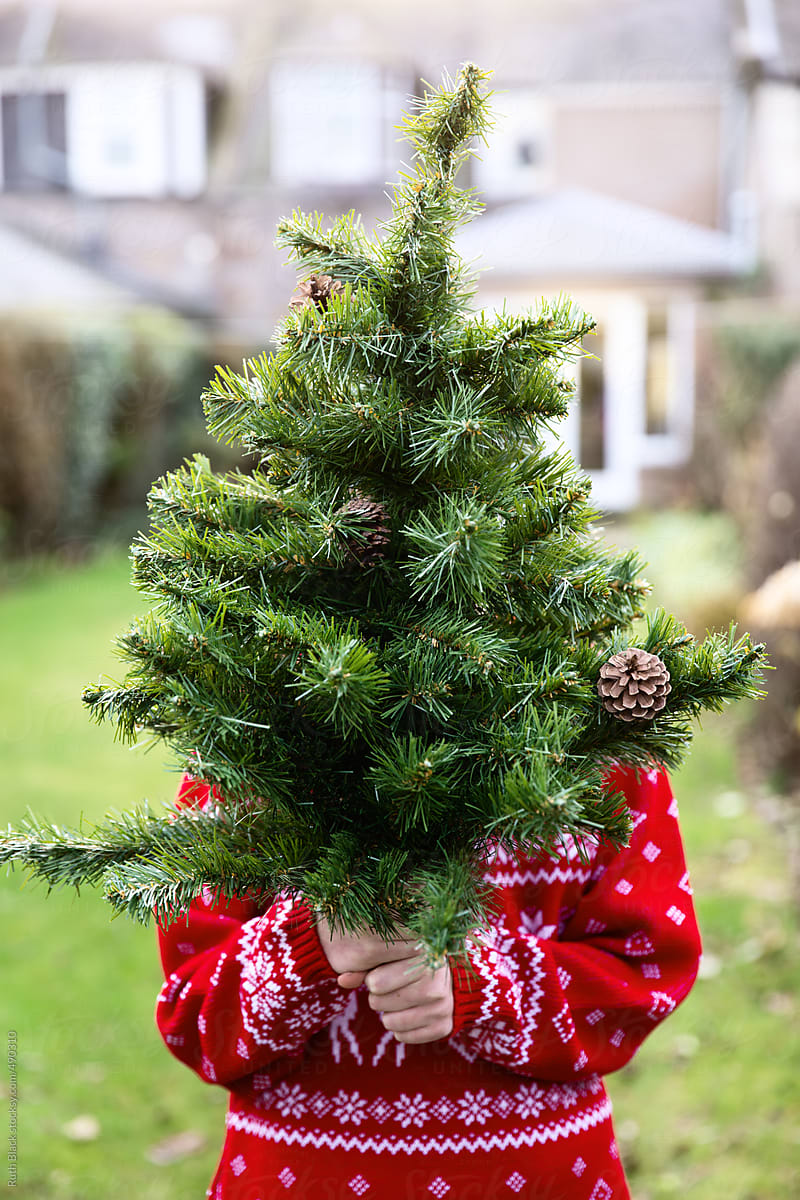 Christmas sweater wearer holding a Christmas tree