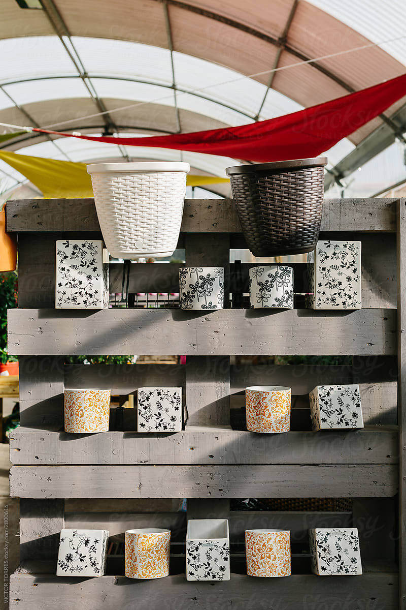 Planters and Patterned Pots