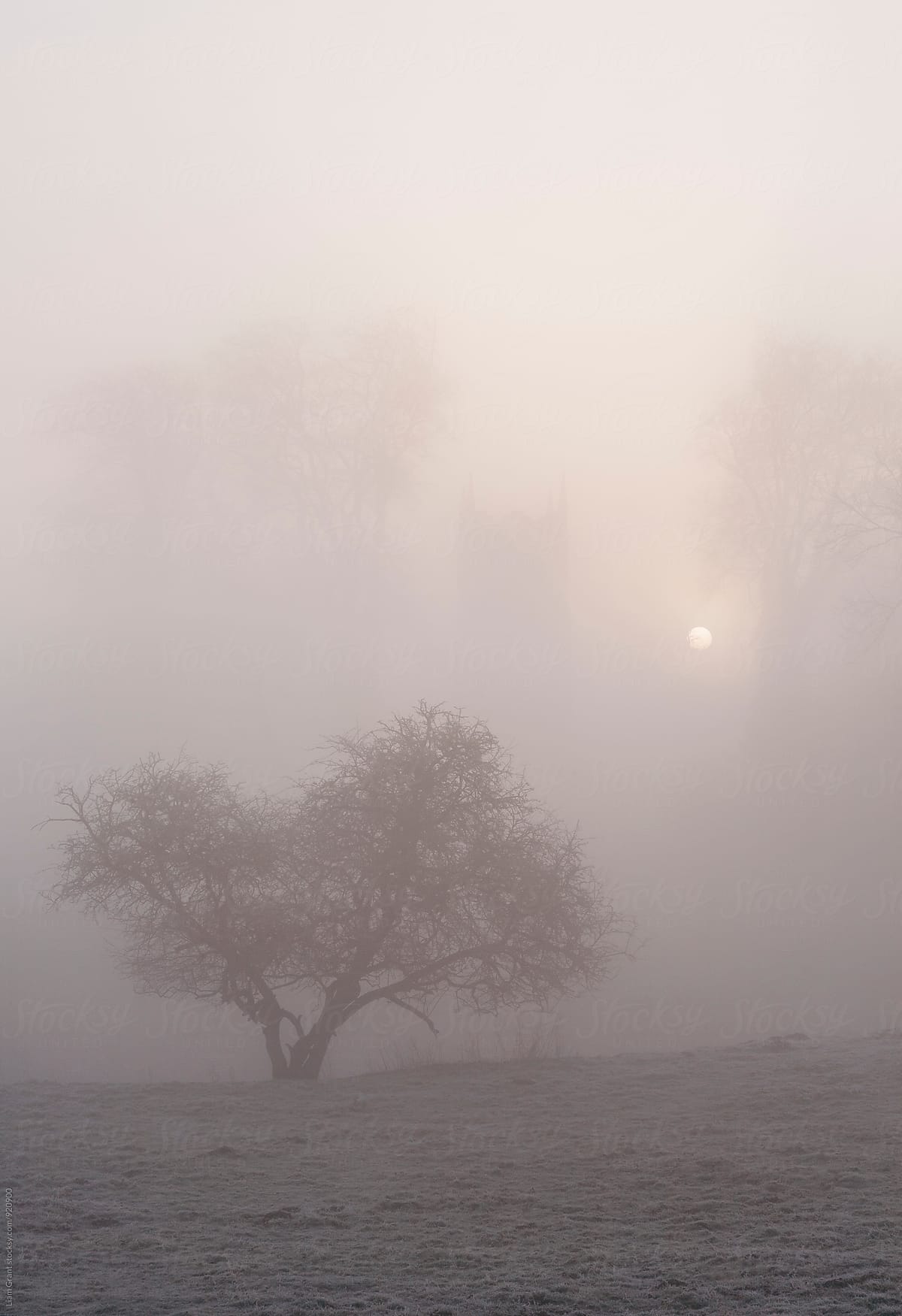 Sunrise through fog behind Hilborough Church. Norfolk, UK.