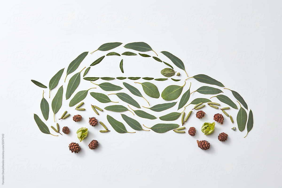 Pattern auto made from cones, green leaves and buds on a gray background with space for text. Eco concept. Flat lay