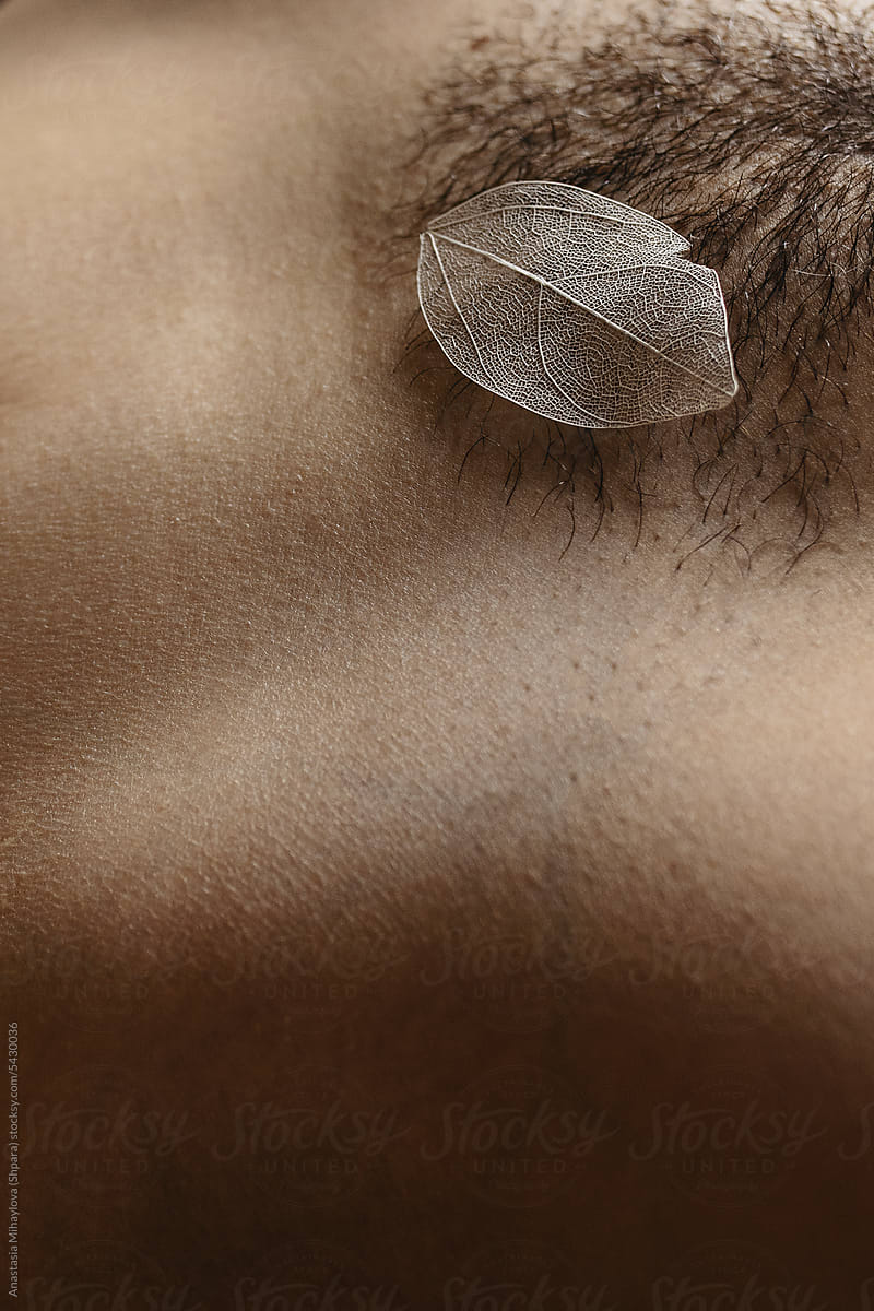 Close Up photo of woman\'s hairy body and white leaf