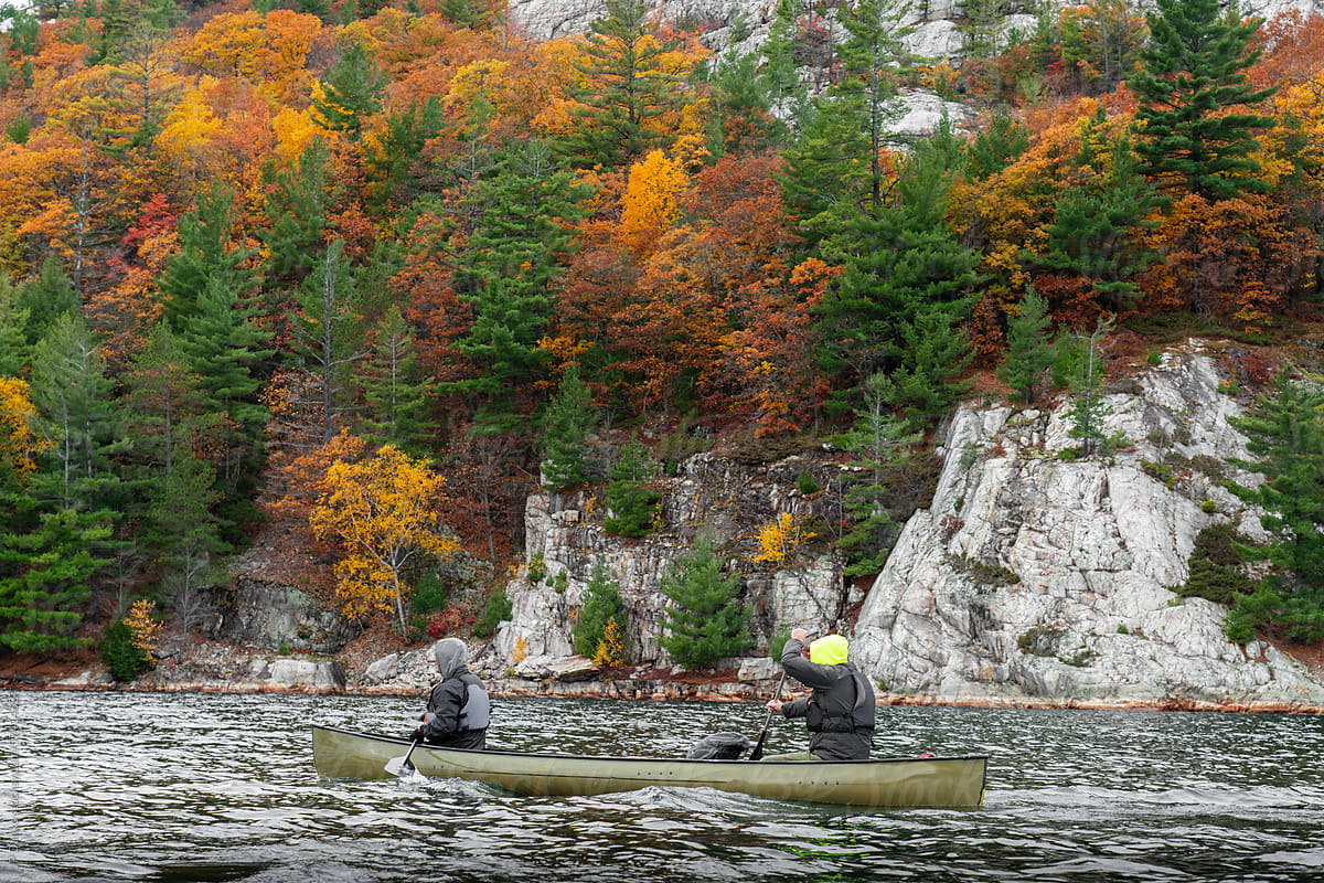 Paddling Canoe on Lake with Wilderness Autumn Forest