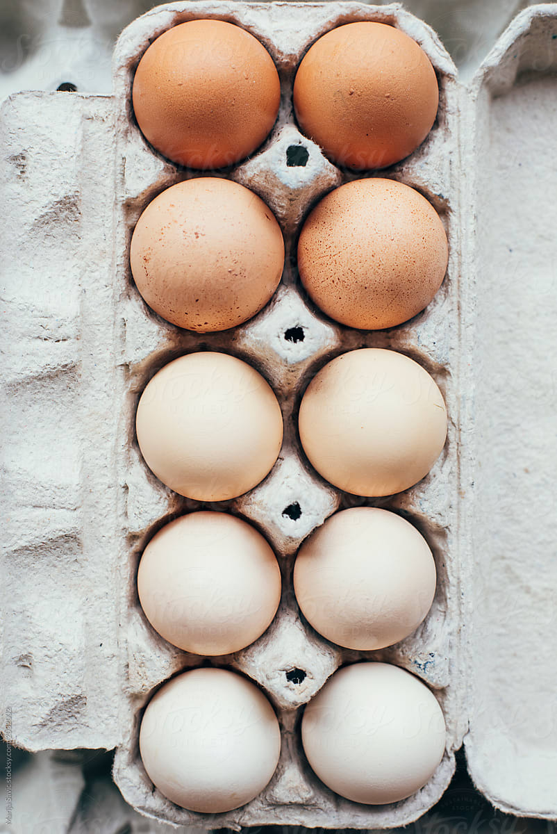 Gradient of Eggs