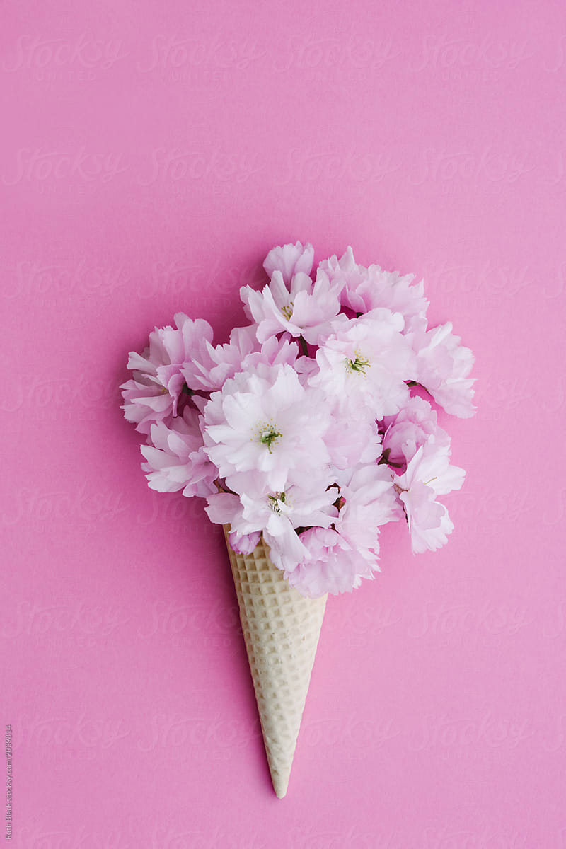 Ice cream cornet filled with cherry blossom