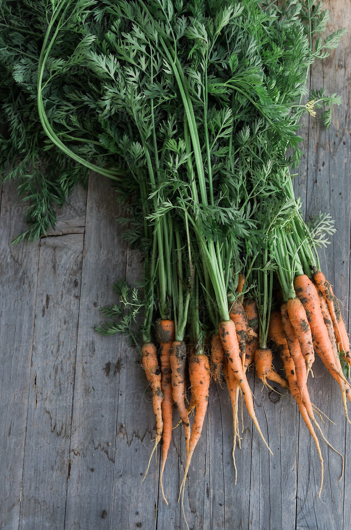 Fresh raw carrots