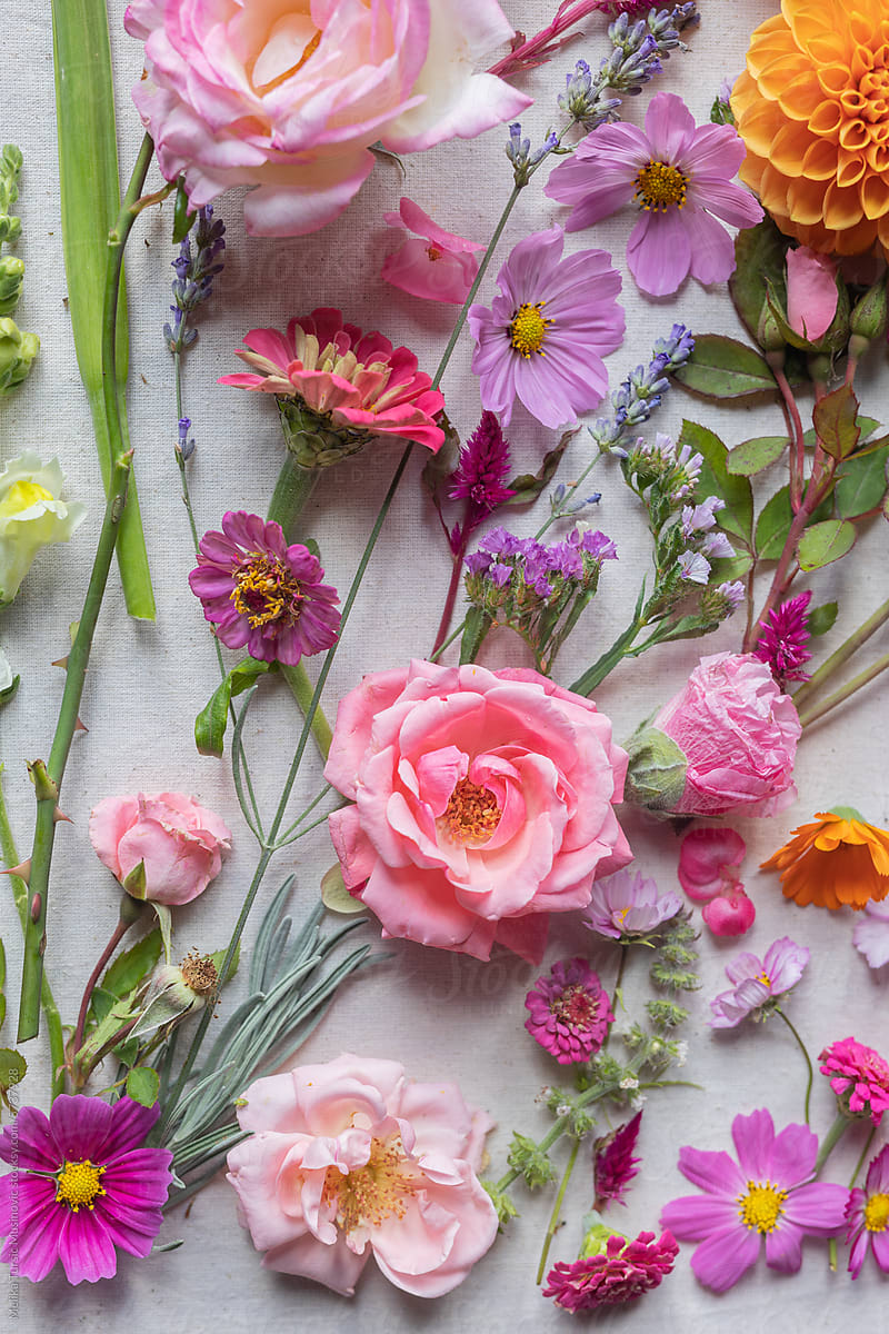 vibrant flat lay of flowers