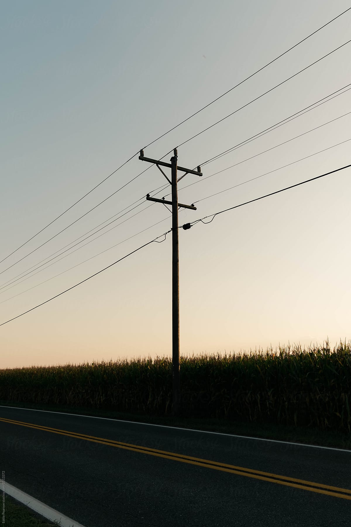 Sunset and power lines