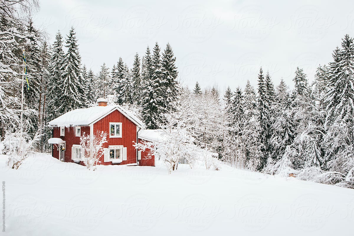 Red Cottage in Snowy  Swedish Landscape