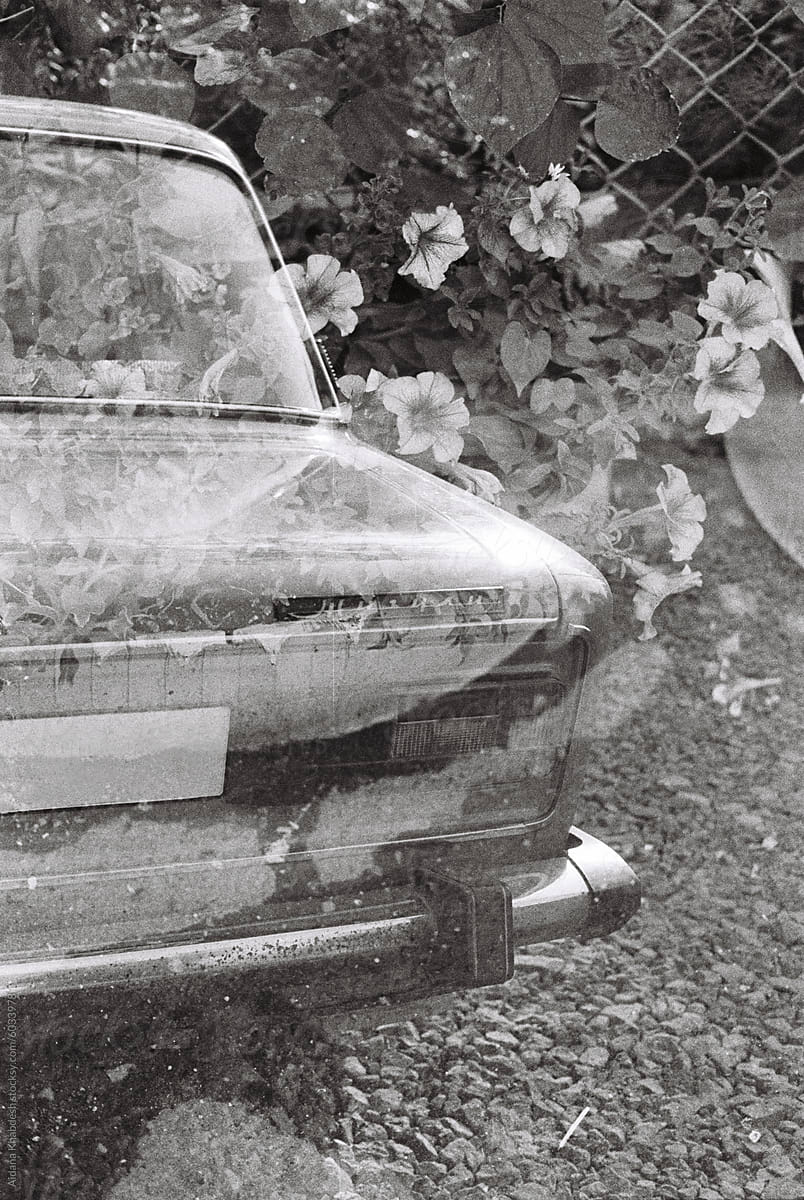 Black and white double exposure photo of car and flowers