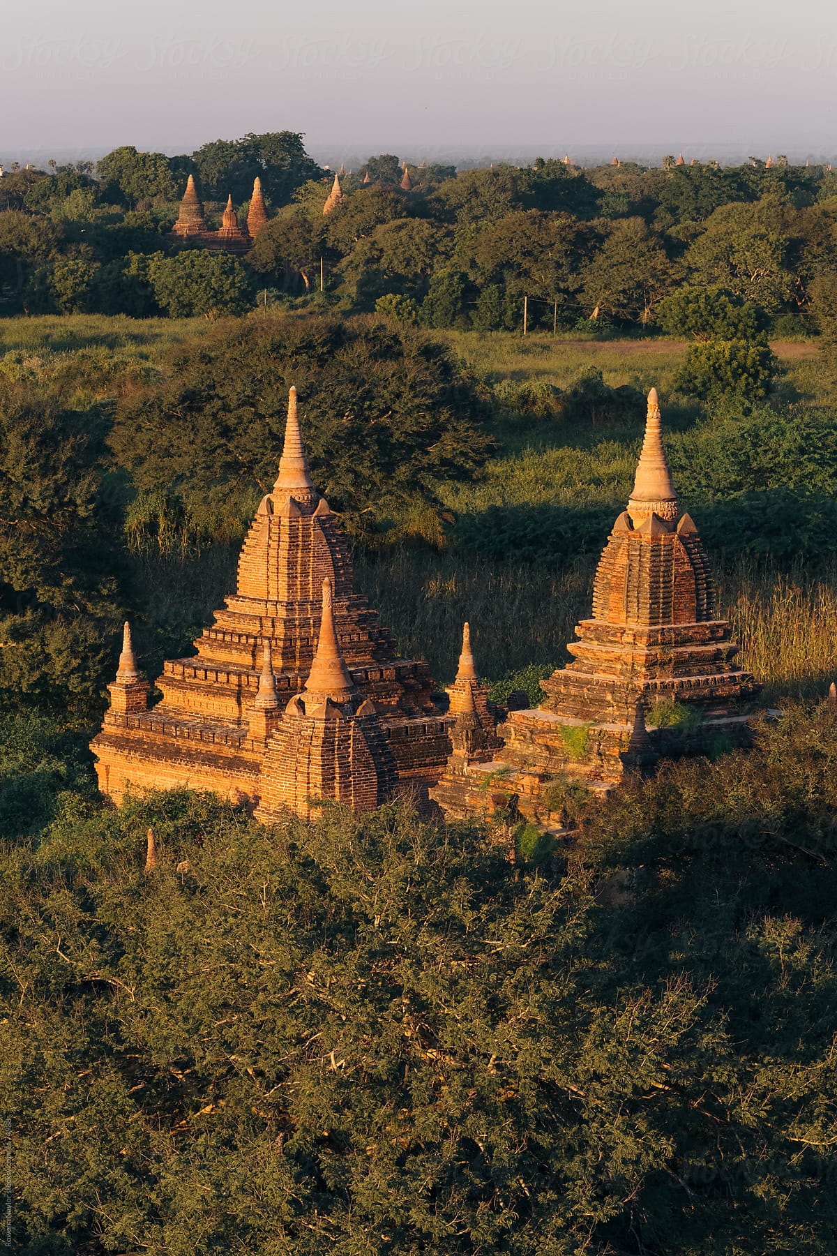 Bagan temples in teh golden light of sunset
