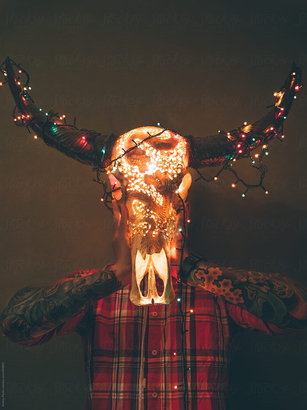 Men holding a longhorn skull with christmas lights in front of his head