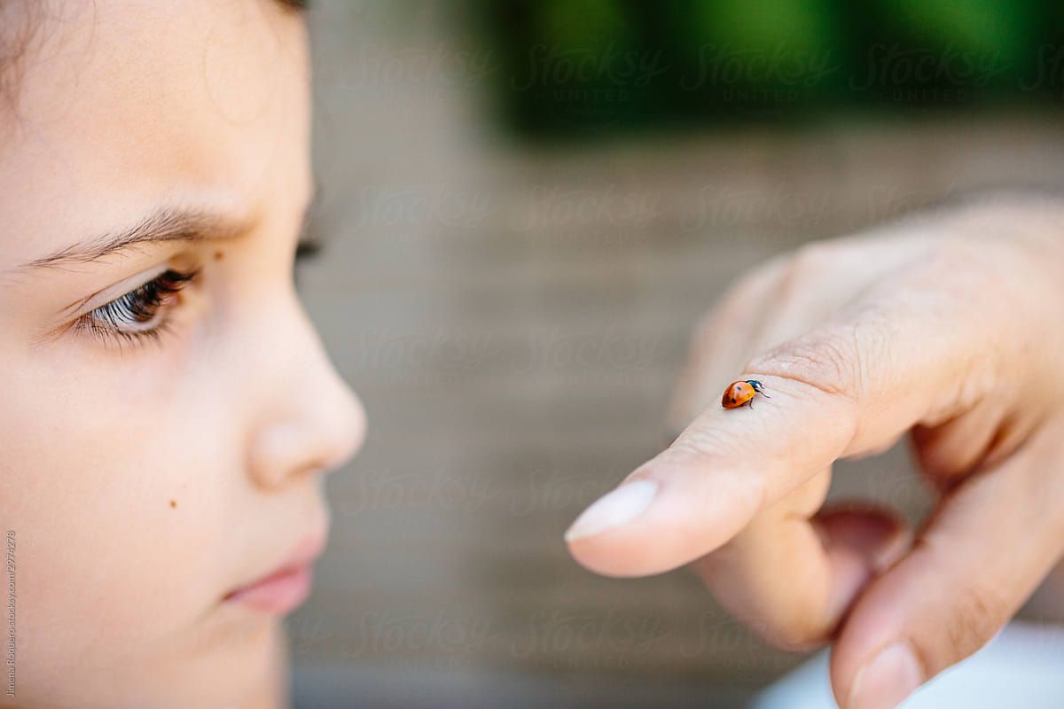 Kid watching a ladybug