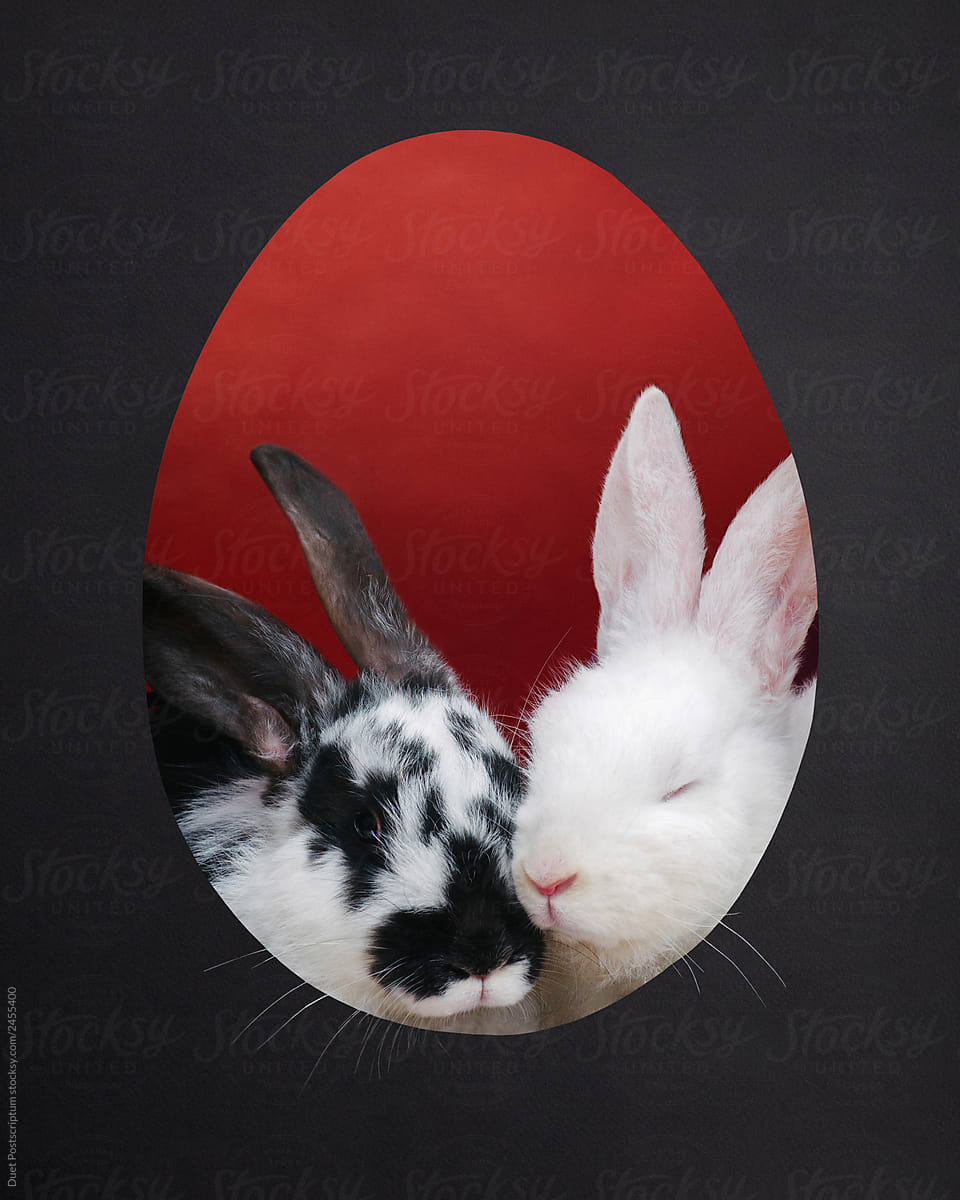 Cute Rabbits In a egg shaped hole. Easter bunny.