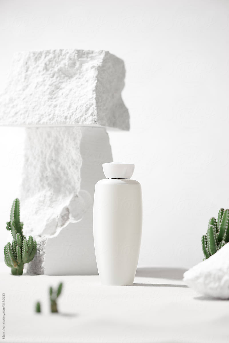 Cosmetic bottle container with green cactus