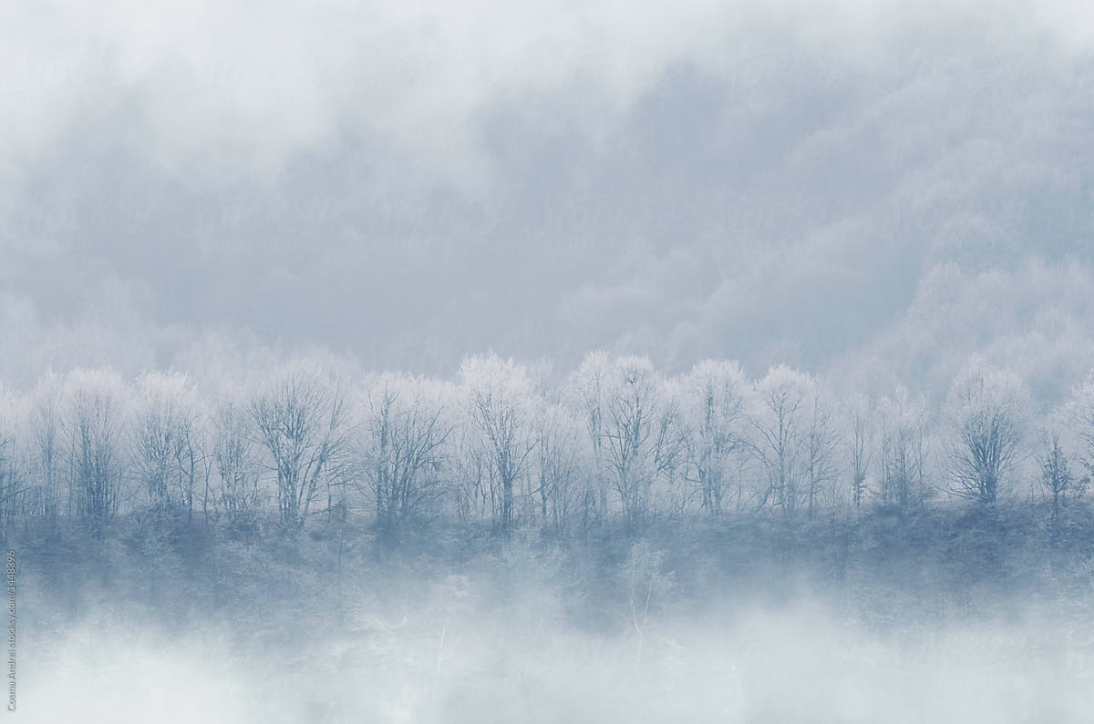 Winter landscape with fog on cold morning