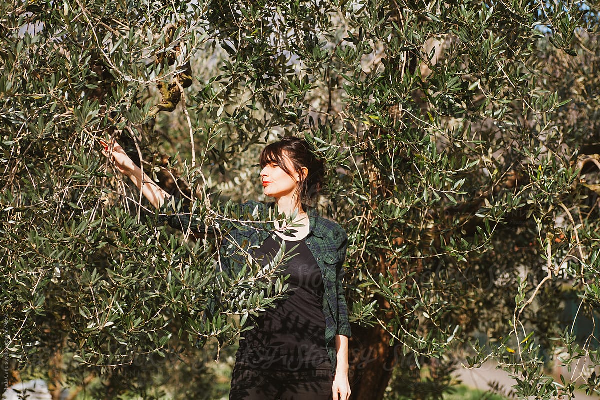 Woman in a olive tree field