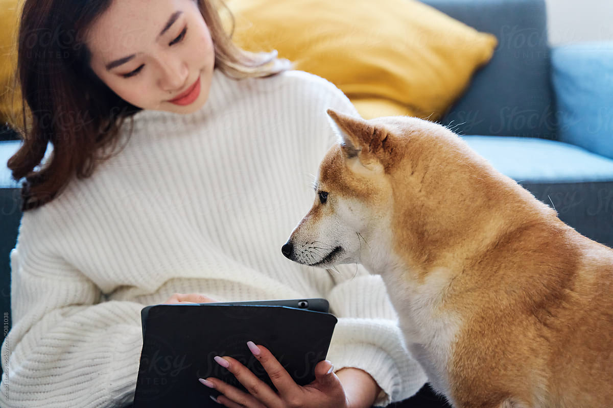 Woman using a digital tablet with her dog at home.