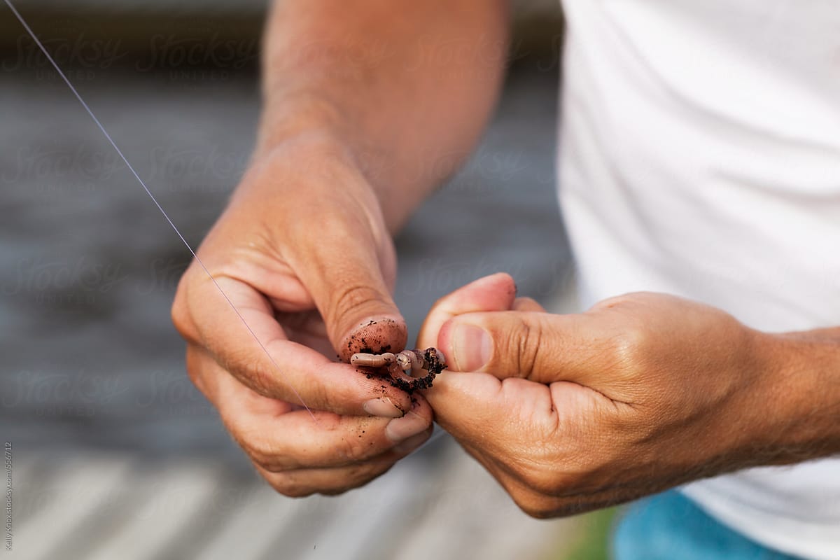 hands putting worm on a fishing hook