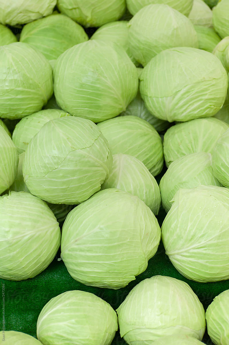 Heap of cabbages on shop