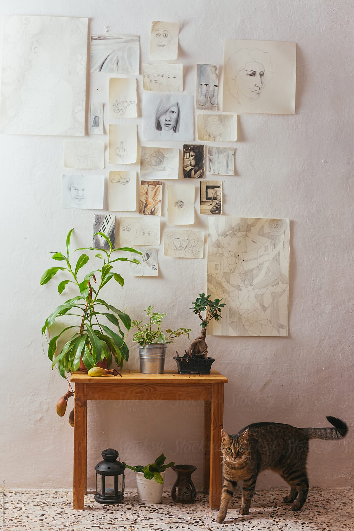 Plants on a wooden table with drawings on a white wall