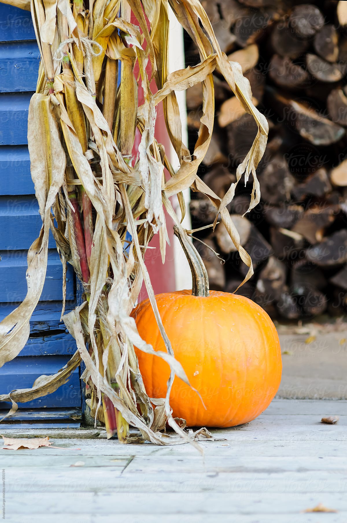 Pumpkin sitting on a porch in fall.