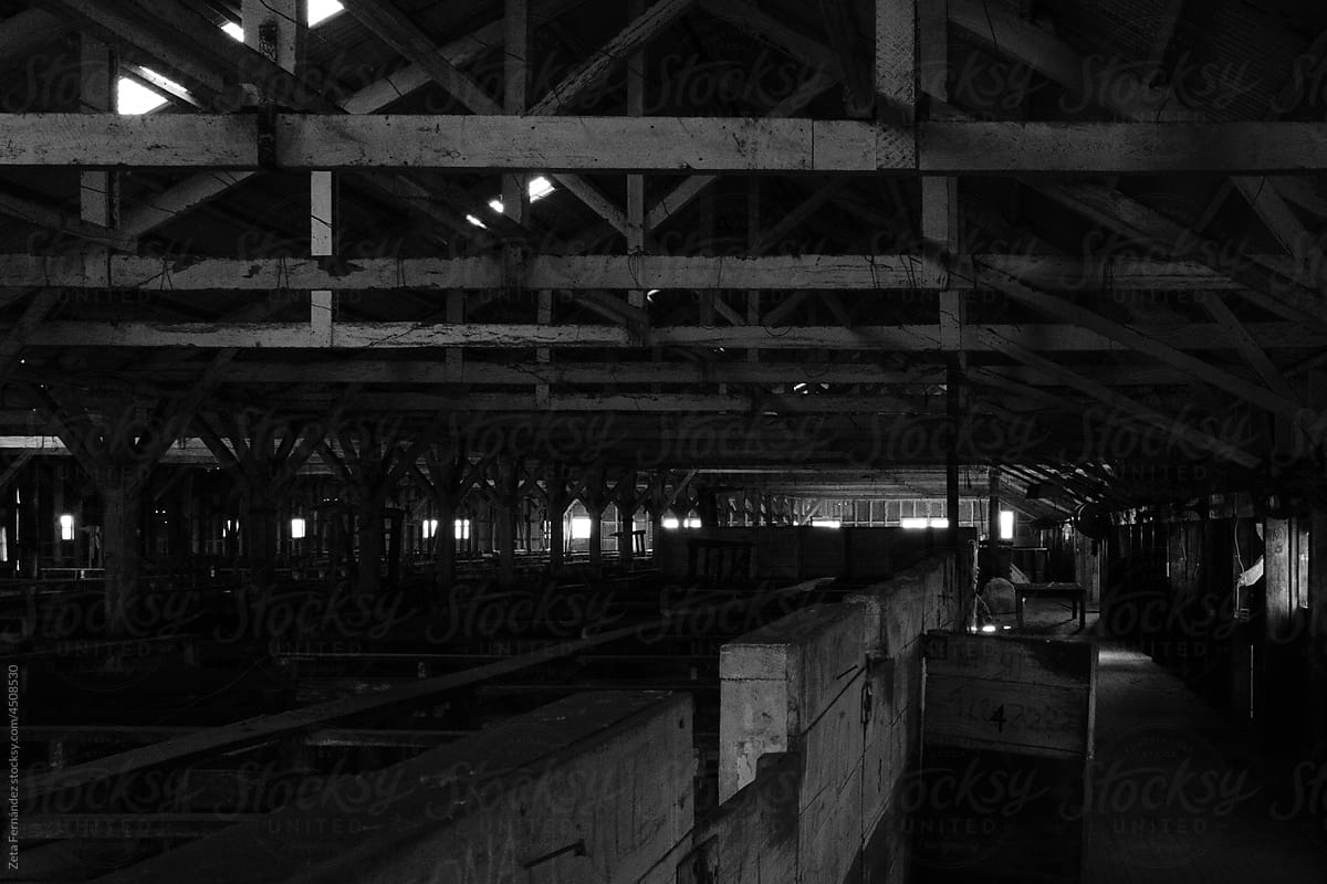 abandoned old barn