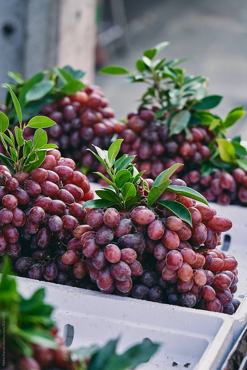 Ripe grape in box for selling in market stall