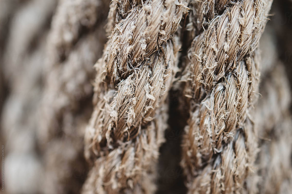 Knotted and frayed ropes on board an old sailboat