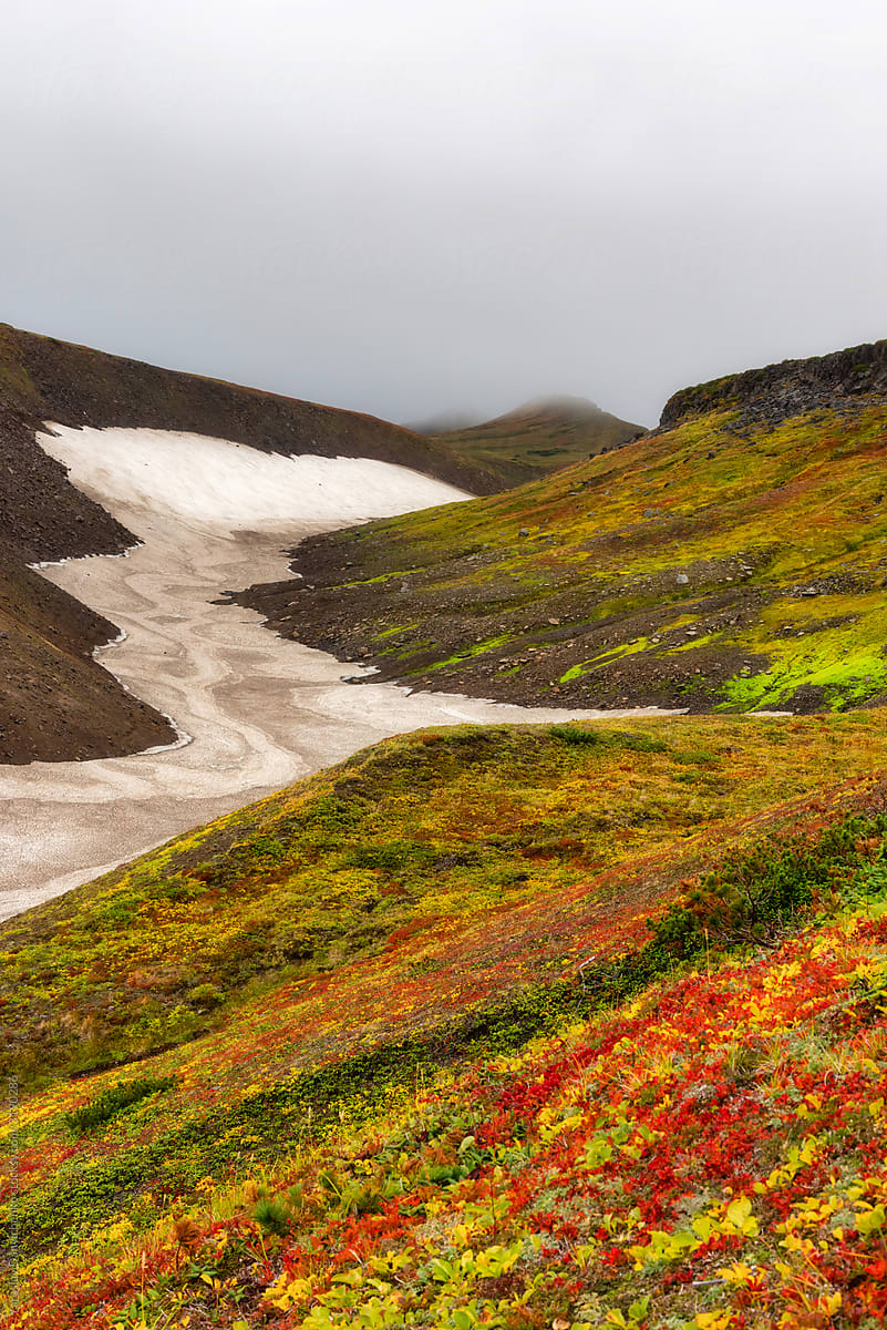 Scenery with colorful plant area at the foot of Mutnovsky volcano, Kamchatka, Russia.