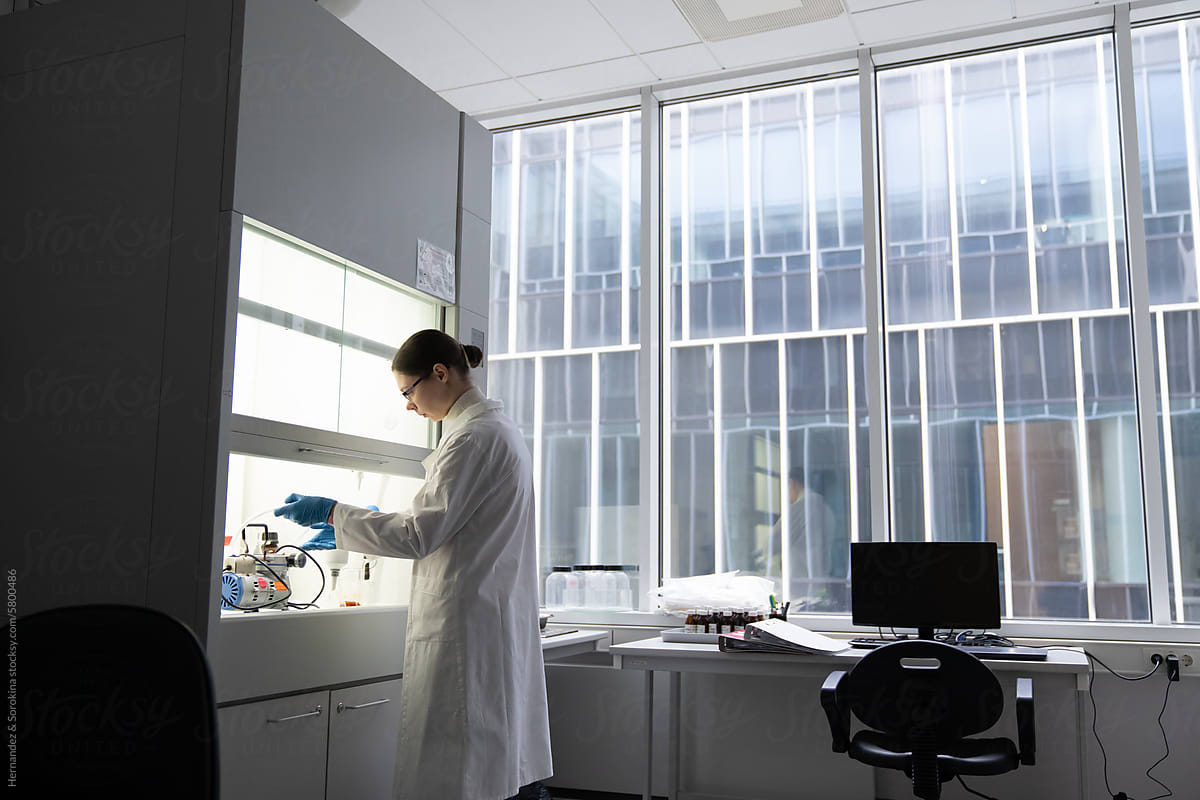 Scientist Working In The Modern Lab Chamber