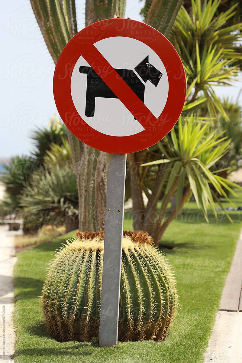 no dogs sign