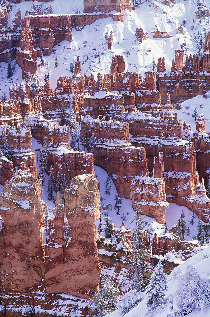 Morning after winter snowstorm Amphitheater Bryce Canyon